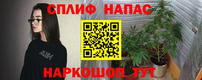 молекула духа Татарск