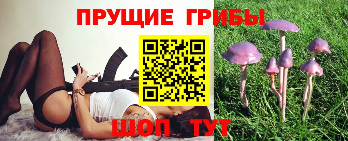 Галлюциногенные грибы MAGIC MUSHROOMS  Вход с VPN  Михайловка 